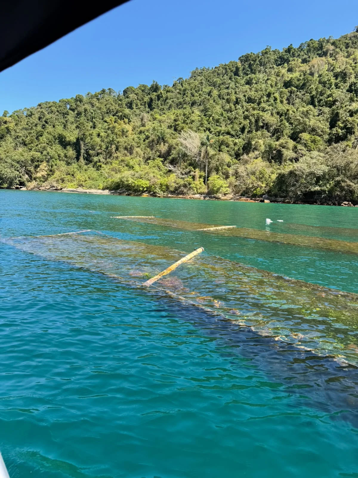 Fazenda de Algas — Paraty, RJ (3 de 5)