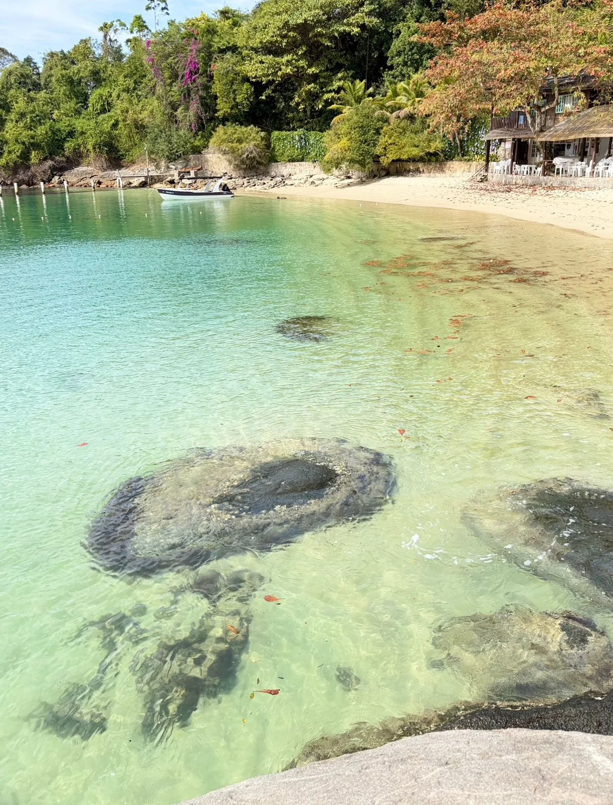 Ilha do pelado — parada do Roteiro Norte Golfinhos