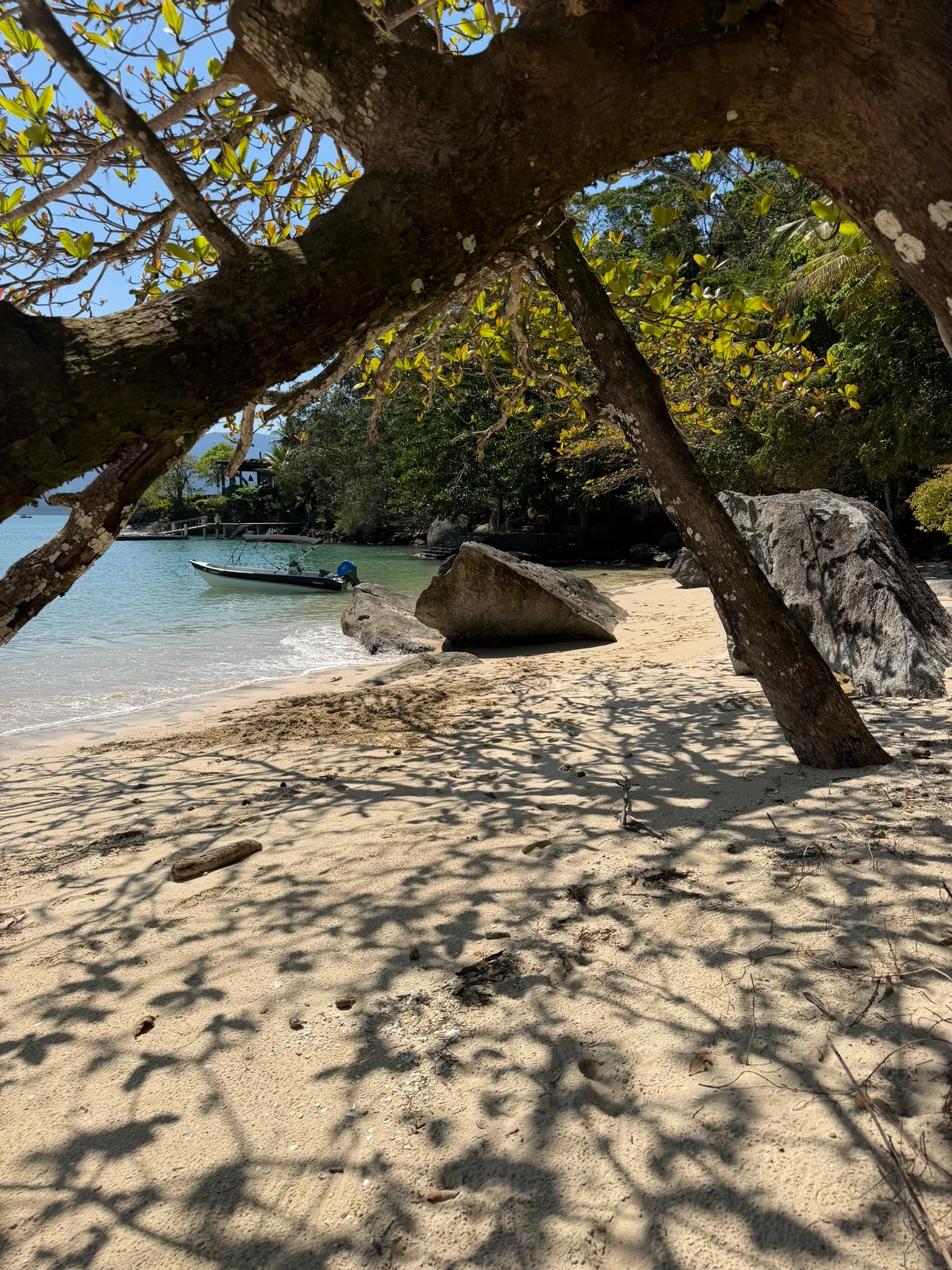 Ilha do Pico — Paraty, RJ (9 de 11)