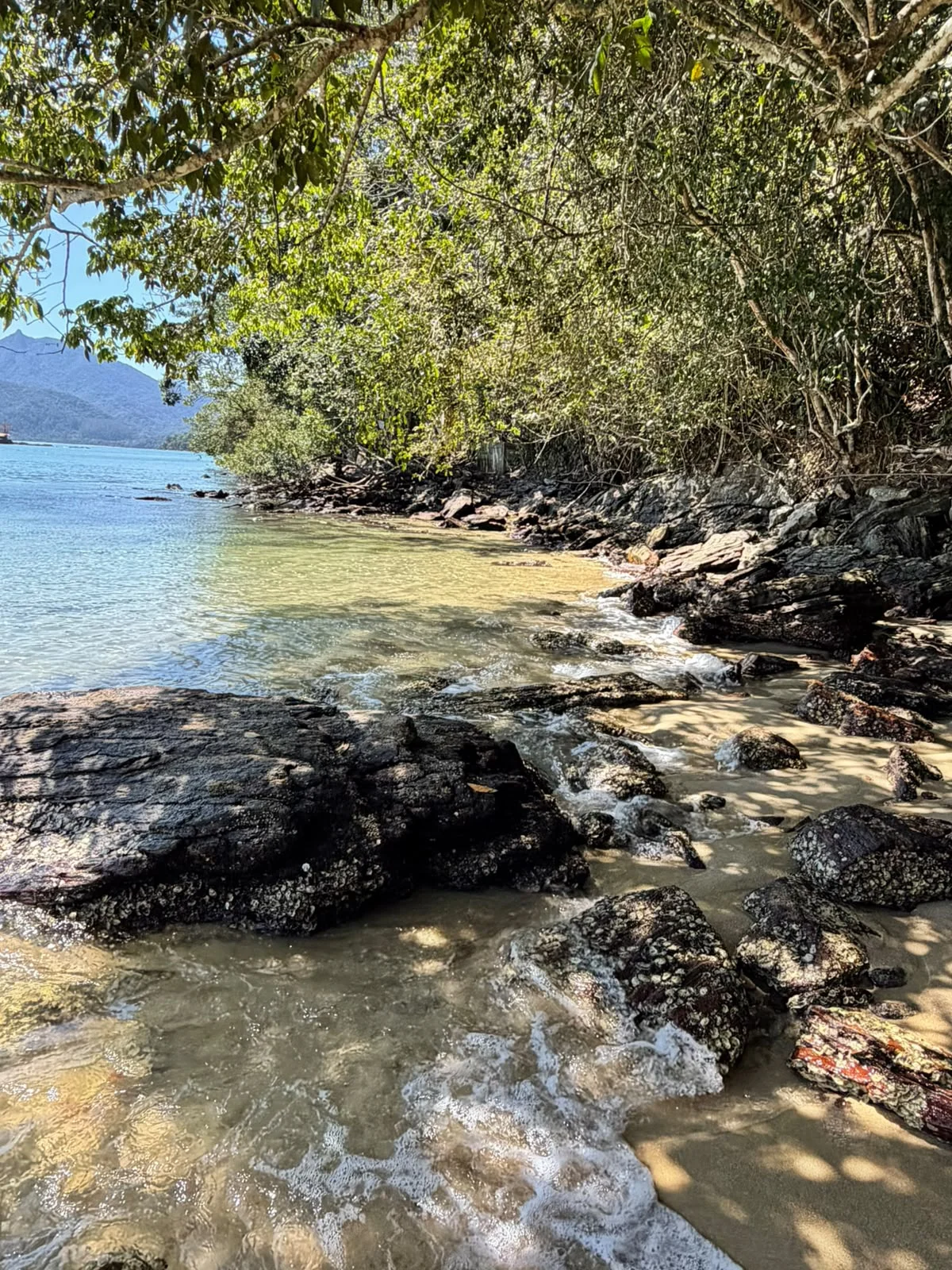 Ilha do Cedro — Paraty, RJ (8 de 11)
