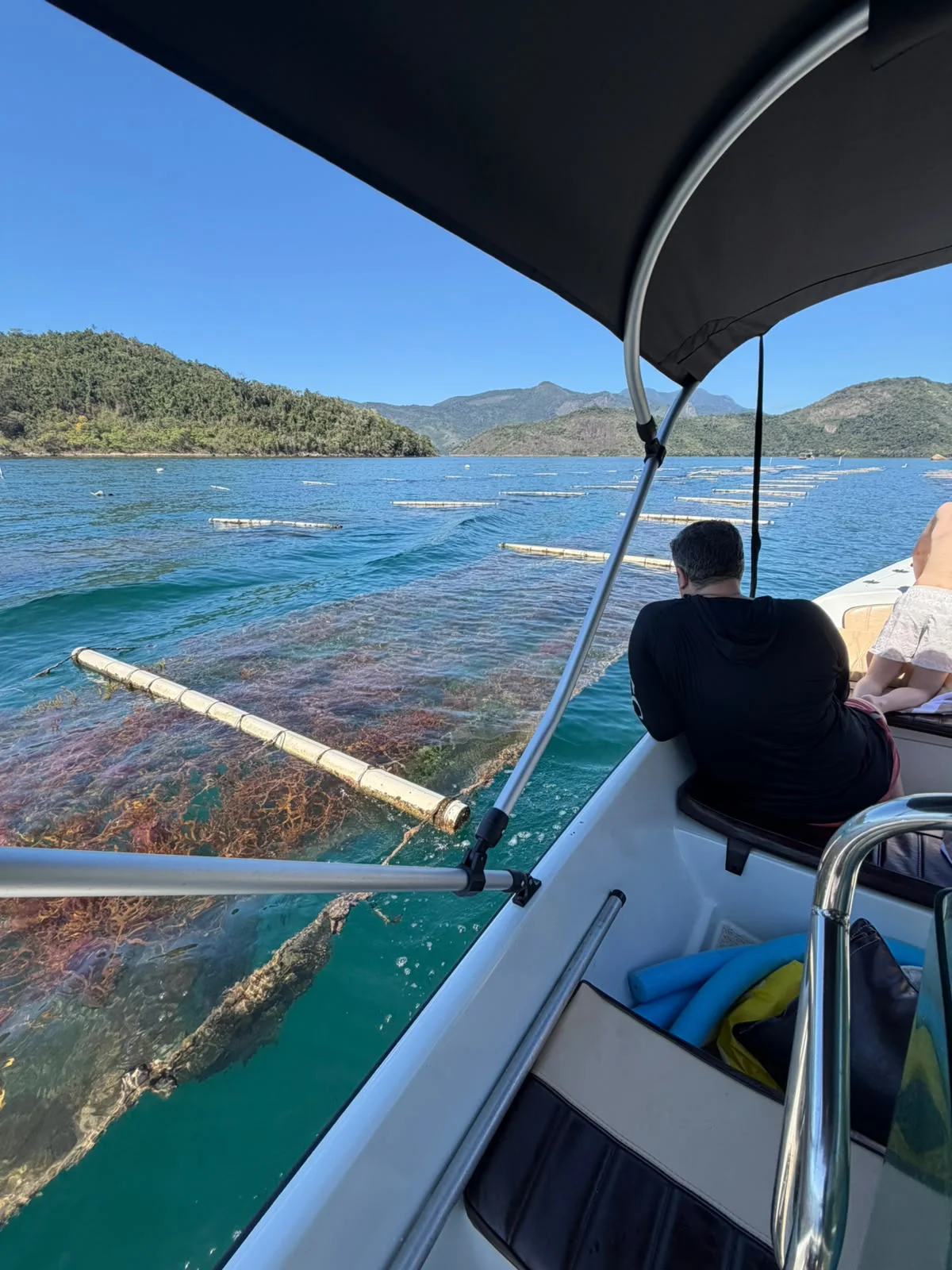Fazenda de Algas — Paraty, RJ (2 de 5)