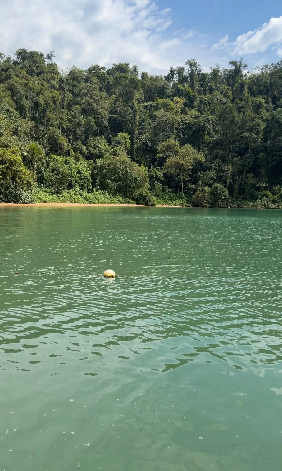 Praia Jurumirim — Paraty, RJ (7 de 7)